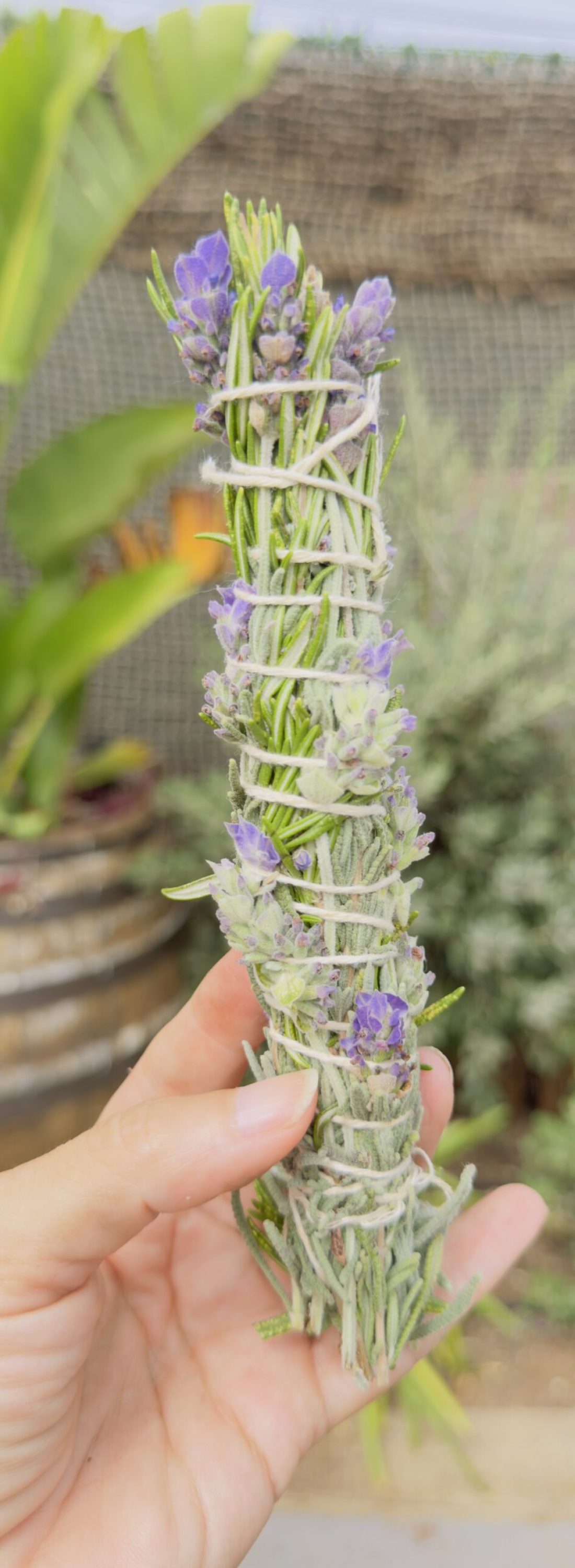 Atado Romero y Lavanda
